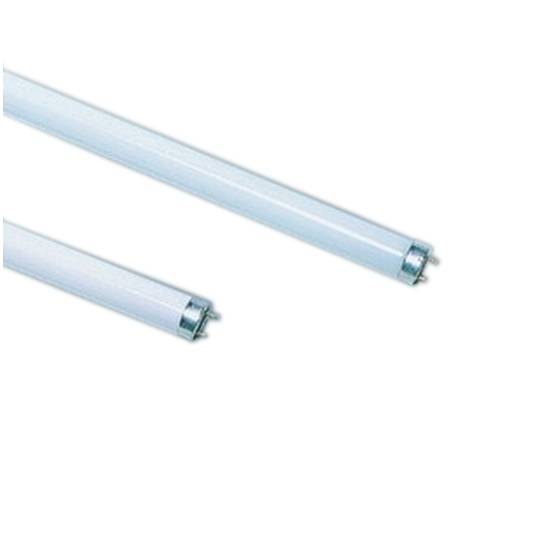 Fluorescent tube: 58W T8 840 HR, 1500mm