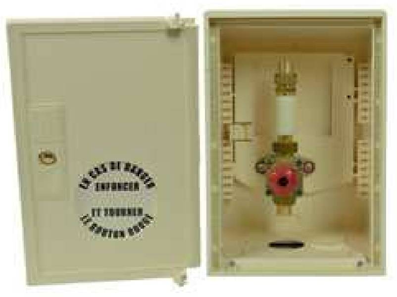 Interruttore a fungo e scatola di segnalazione - Rame 18 mm