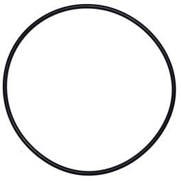 O-ring 200 mm di diametro per la vecchia cupola del filtro Calpas (d.195mm) - Aqualux - Référence fabricant : 800101