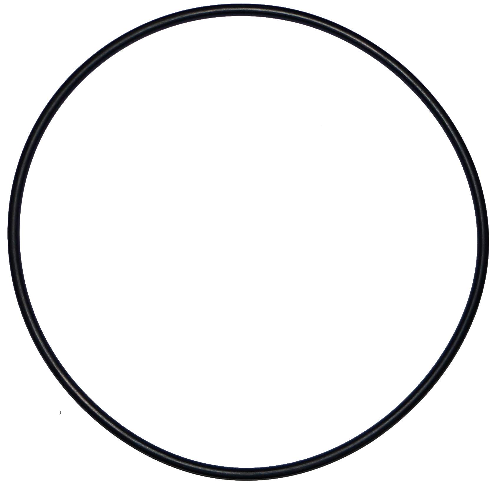 O-ring 200 mm di diametro per la vecchia cupola del filtro Calpas (d.195mm)