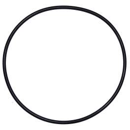 O-ring 180 mm diameter for Ardeche filter dome (d.205mm) - Aqualux - Référence fabricant : 801601