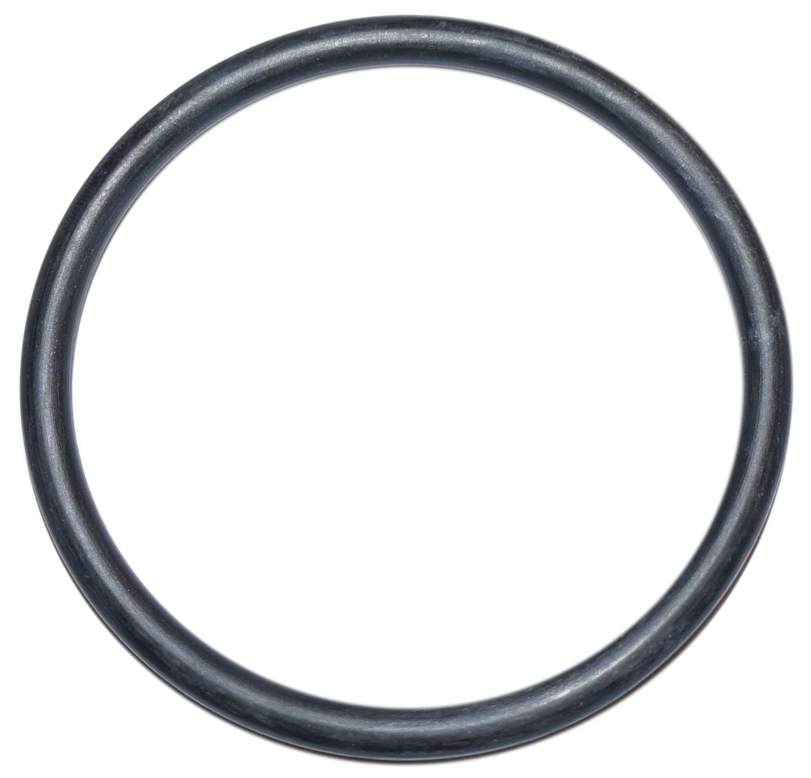 O-Ring mit 90 mm Durchmesser für die Wanddurchführung eines Schwimmbadfilters Ardeche