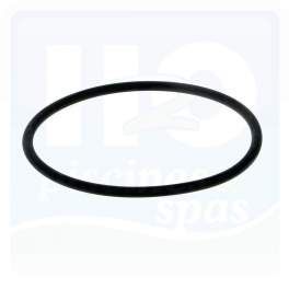 O-ring 125/115 mm di diametro per il coperchio della pompa PULSO - Aqualux - Référence fabricant : 891901