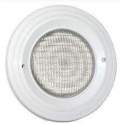 LED spotlight with screw, for installation on liner, concrete, PL07 panel, white