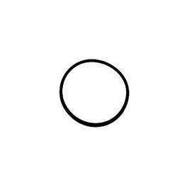 O-Ring für Deckel - Astral Piscine - Référence fabricant : 4404080101