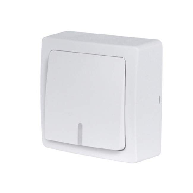 Surface mounted illuminated pushbutton with indicator, 10A 250V, BLOK series