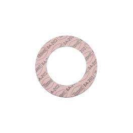 CSC gasket 115x161x2mm for flange valve DN100 - 1 piece. - WATTS - Référence fabricant : 4962113