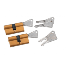 Lock cylinder V5, 2 brass cylinders, 30 x 30 mm, 5 pins, 3 keys - Vachette - Référence fabricant : 67100MN/SC