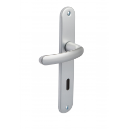 Budget door handle with silver plate, distance between centres 165 mm, key I - Vachette - Référence fabricant : 73268