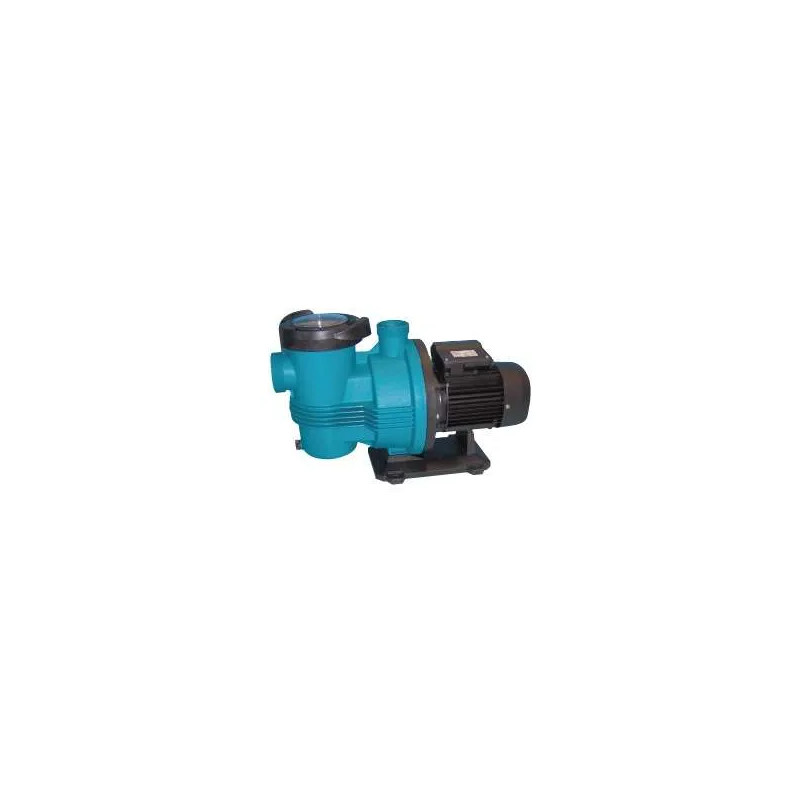 Pompe de filtration PULSO 1 cv Monophase 18 m3 par heure