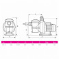 PULSO filter pump 3 hp Single-phase 38 m3 per hour PULSO filter pump 3 hp Single-phase 38 m3 per hour