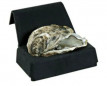 Oyster Hold Only Black Oyster Hold Only Black