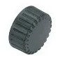 Spina F 26x34