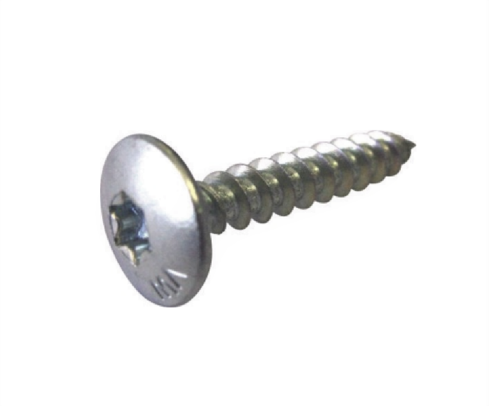 Wooden screw with large head 6 x 35, white zinc plated steel, 20 pieces 
