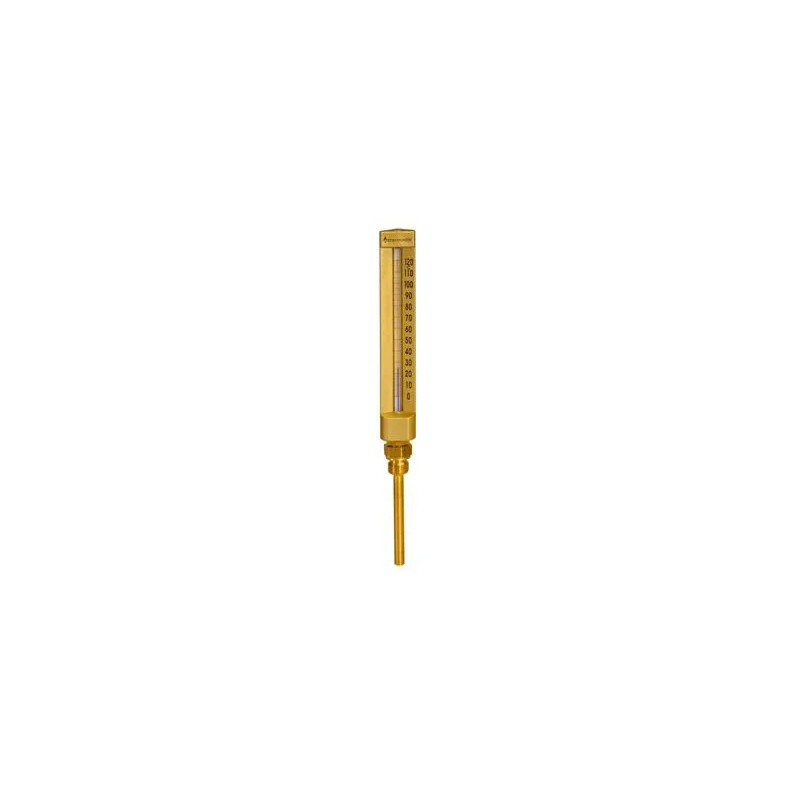 Industriële thermometer van 0 °C tot 120 °C Recht