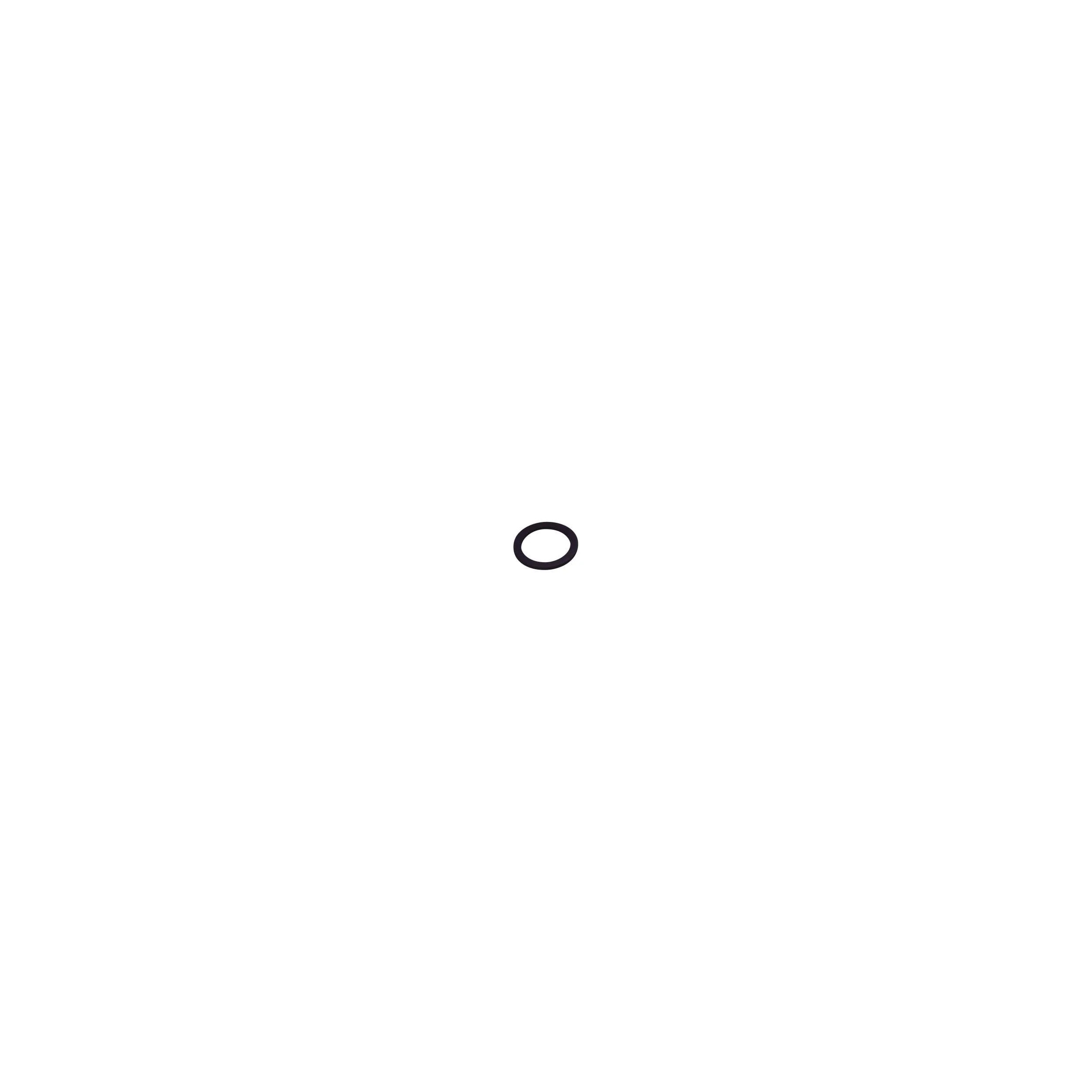 10 O-rings 620F
