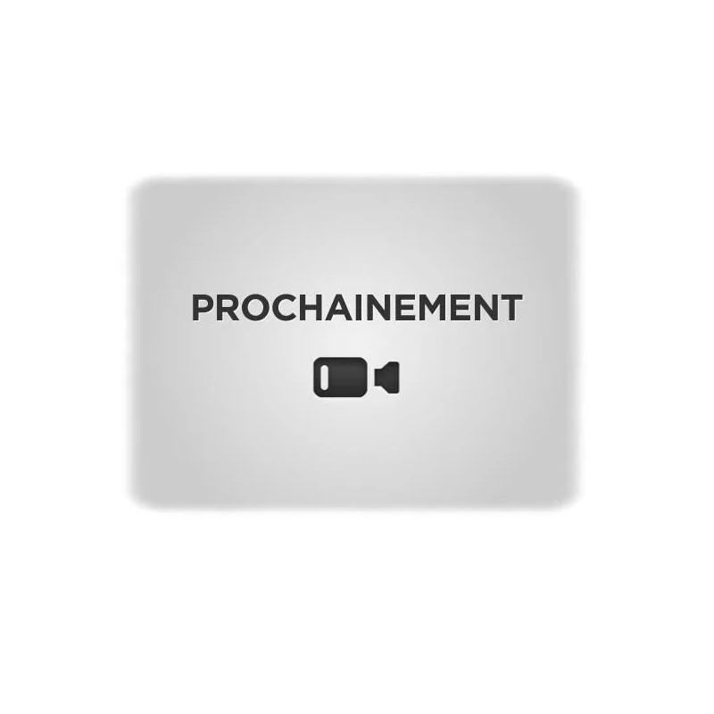 TWIN gasmechanisme