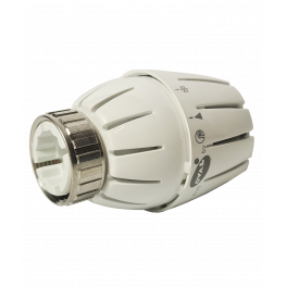 Cabezal termostático TH "OVAL" con bulbo líquido - PETTINAROLI - Référence fabricant : 107L