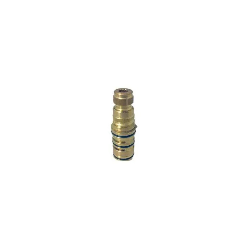 Cartouche Thermostatique pour TEMPRA A.M. Cartouche Thermostatique pour TEMPRA A.M.