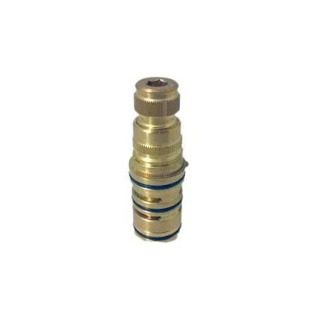 Cartouche Thermostatique pour TEMPRA A.M.