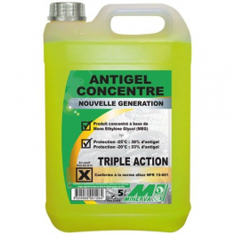 Anticongelante concentrado, 5 litros - MINERVA OIL - Référence fabricant : 631812