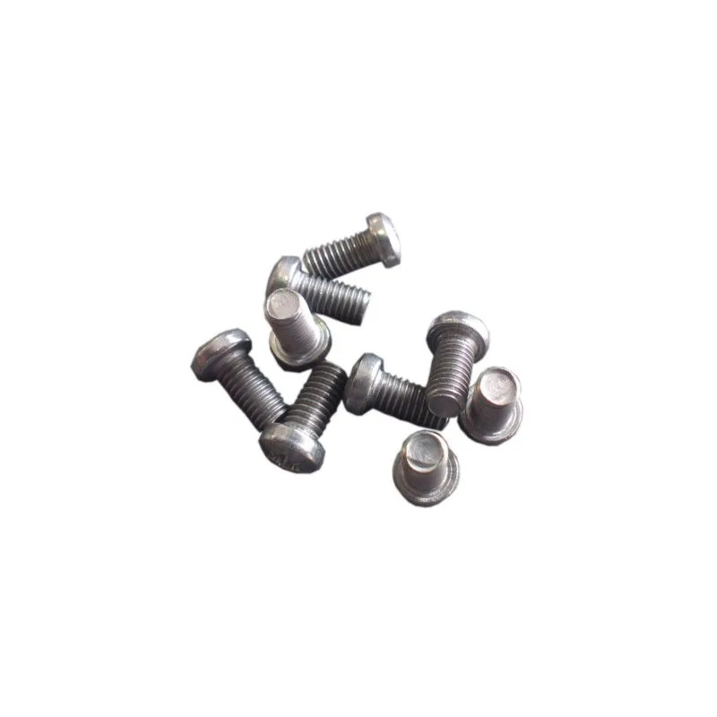 Alleen schroef 5X10 (Porcher AM) 10 stuks