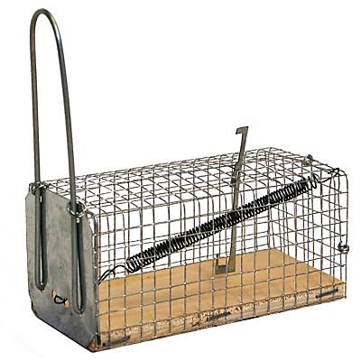 Single-entry galvanized mesh mouse trap with wooden base