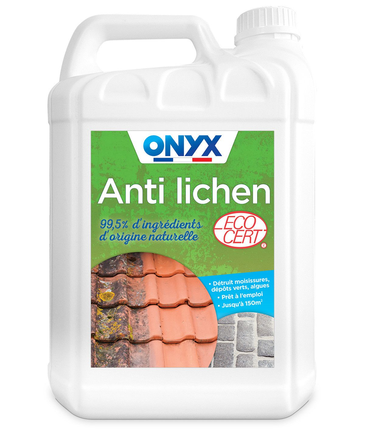 Anti Lichen, distrugge muffe, licheni e alghe, contenitore da 5 L