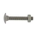 A2 stainless steel round head square neck bolt 6x60mm, 4 pcs.