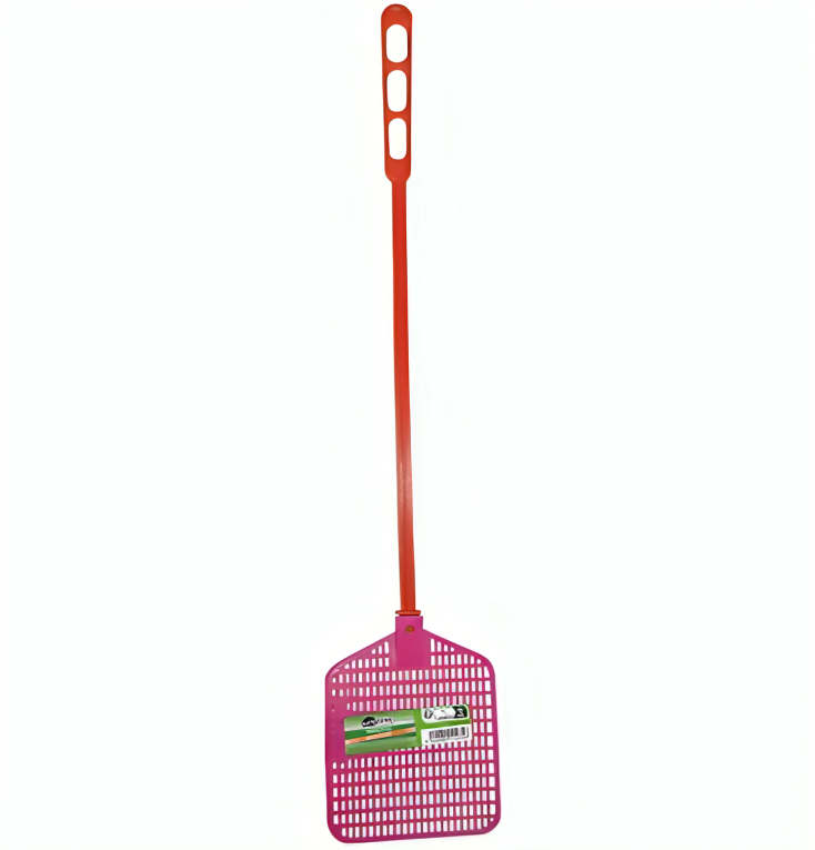 Fly swatter and flying insect