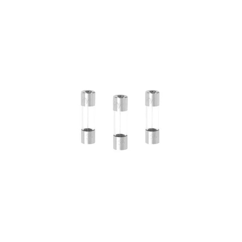 Fusible de vidrio de fusión rápida, diámetro 5 mm, l. 20 mm, 1A, 250V, 3 piezas
