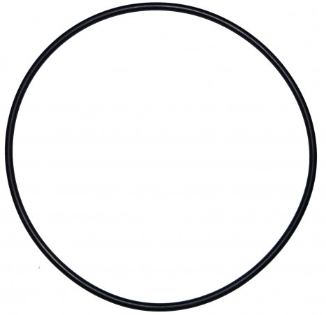 Joint torique diamètre 200 mm de diamètre pour dome de filtre Calpas ancien mod le (d 19
