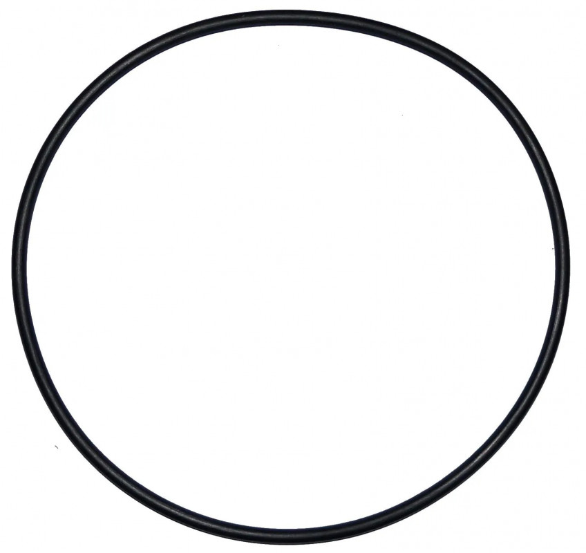 Junta tórica de 180 mm de diámetro para la cúpula del filtro Ardeche (d.205 mm)