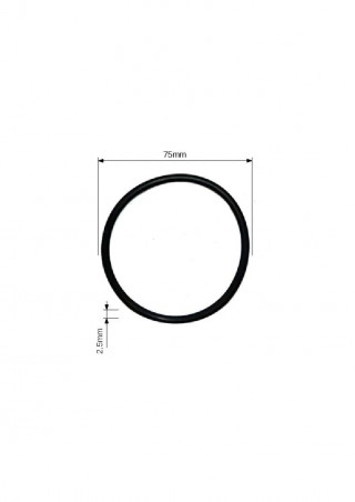 O-Ring für Ablaufventil der Duschwanne Modell 690