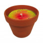 Muggenwerende kaars in terracotta pot 350g