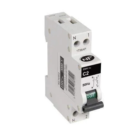 Disjoncteur PH+N10A