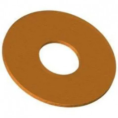 Lot de 25 clapets percés 18x4x5 N°12B