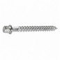 Pata de tornillo 7 x 60, 20 piezas