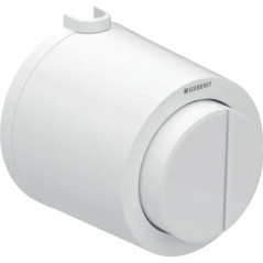 Pneumatic double button plunger type 01
