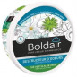 Geurvernietiger Boldair gel blok 300g groene thee