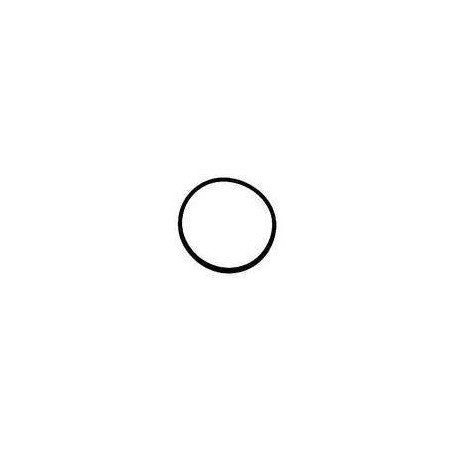 O-ring for cover