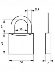 Cadenas Type 1, 50 mm, anse acier, 2 clés