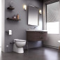 Compacte WC-vermaler SFA Sanicompact Pro Eco+ 3L zuinig Compacte WC-vermaler SFA Sanicompact Pro Eco+ 3L zuinig