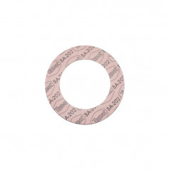 Guarnizione CSC 115x161x2mm per valvola flangiata - 1 pezzo.