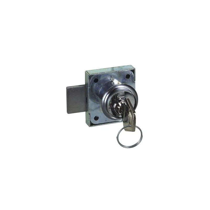 20mm cilinderslot voor linker- of rechterdeur, twee sleutels, L35xH40xEP9mm.