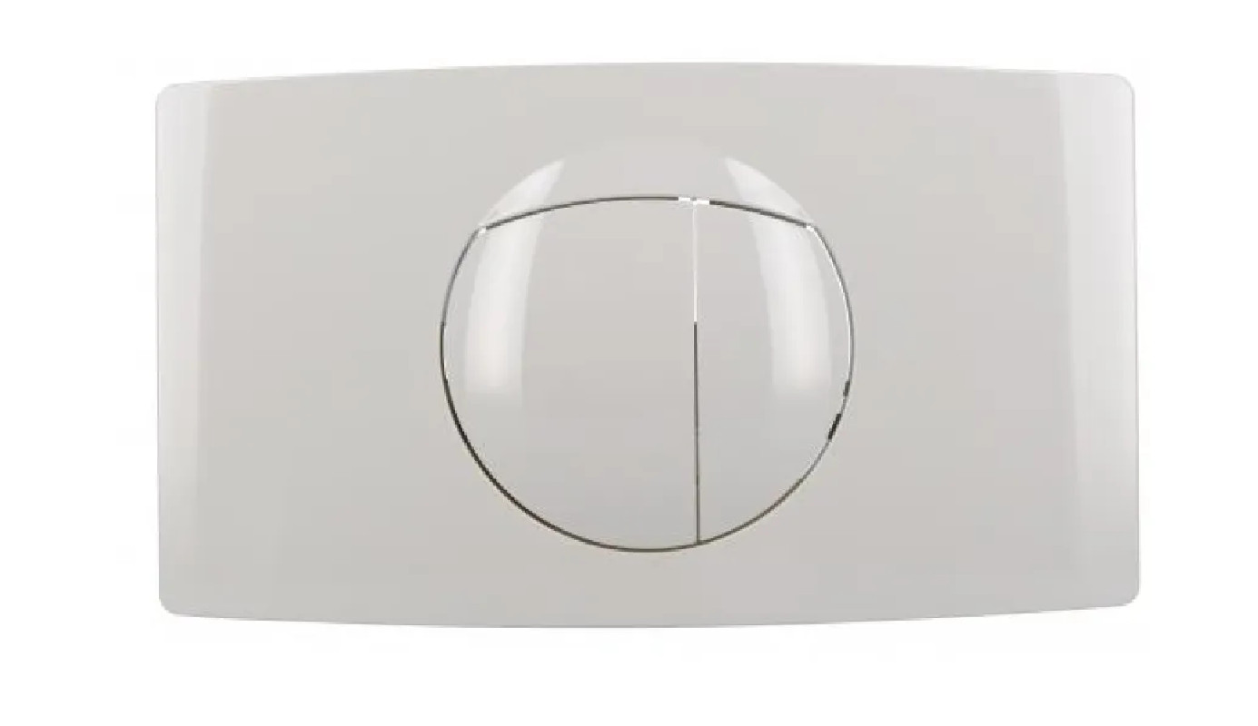 Witte controleplaat 2v 384 SAS en w981, w982, w985 Nicoll