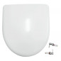 Abattant WC Geberit Renova descente ralentie, fixation dessus entraxe 22.3 cm Abattant WC Geberit Renova descente ralentie, fixation dessus entraxe 22.3 cm