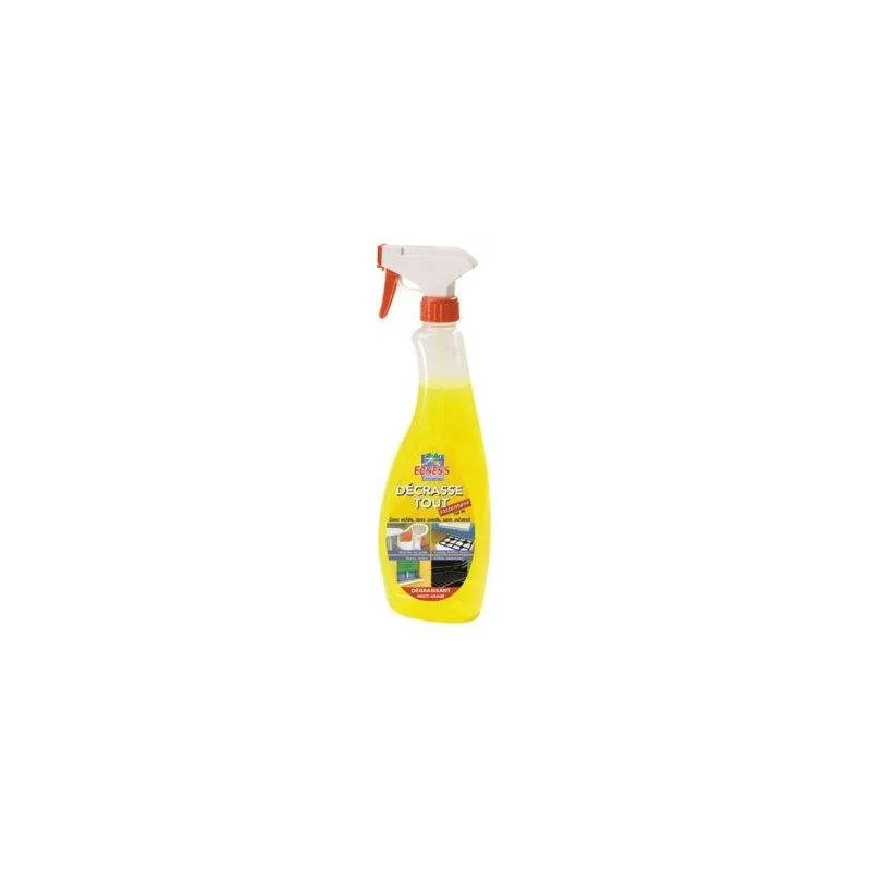 Allesreiniger geconcentreerd ontvetten 750ml Ecness