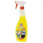 Allesreiniger geconcentreerd ontvetten 750ml Ecness