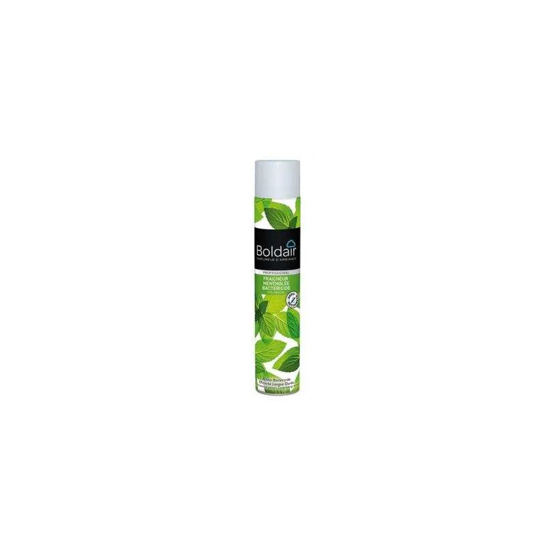 Boldair frisse munt bacteriedodend middel 500ml